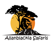 Allan Blackia Safaris