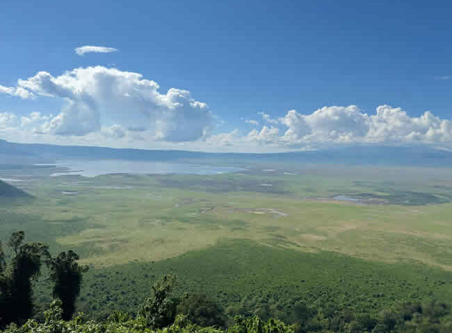 Ngorongoro crater drive