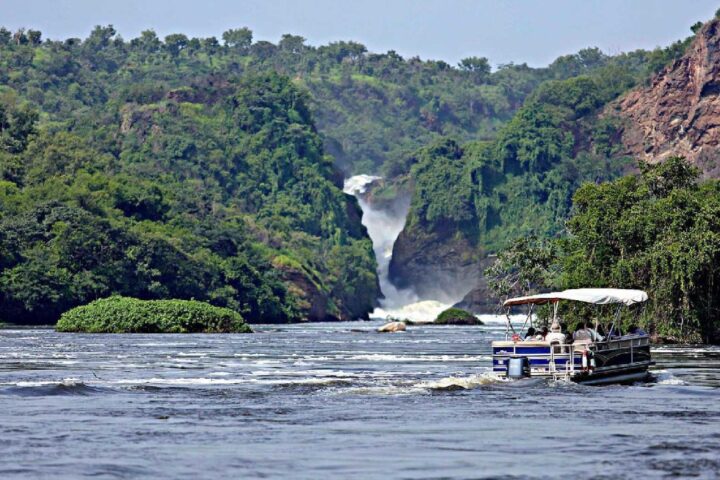 Best Time to Visit Murchison Falls National Park: a place where rivers, forests, and open plains blend into a vast landscape filled with wildlife