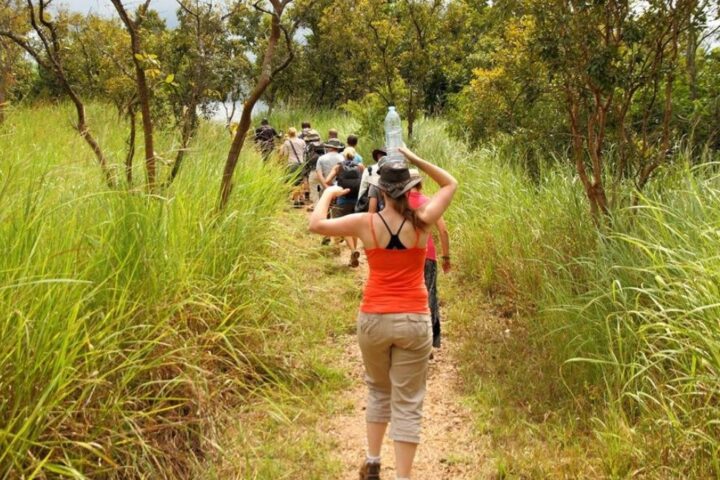 Hiking and Nature Walks Safaris in Murchison Falls National Park