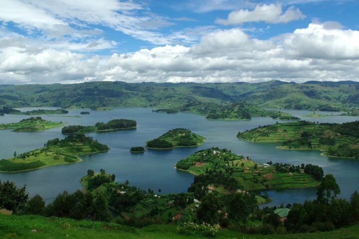 bunyonyi