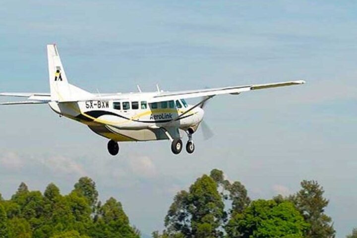 Chimpanzee flying safari